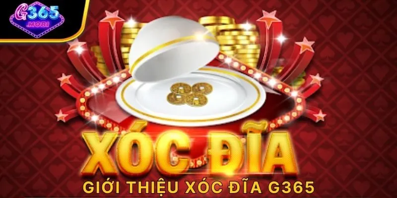 Giới thiệu xóc đĩa G365
